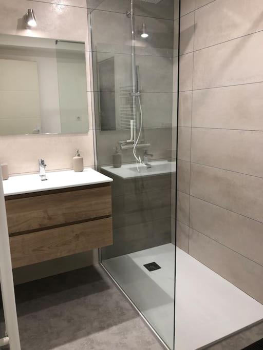 Appartement Moderne & Lumineux 40M2 Centre Luxeuil Eksteriør bilde