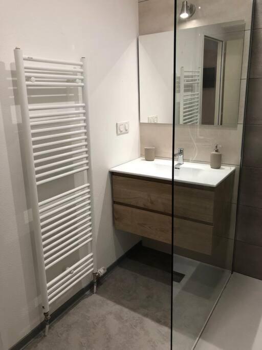 Appartement Moderne & Lumineux 40M2 Centre Luxeuil Eksteriør bilde